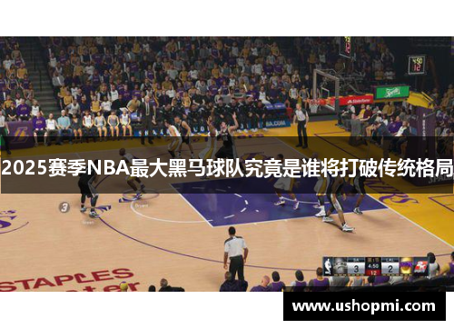 2025赛季NBA最大黑马球队究竟是谁将打破传统格局